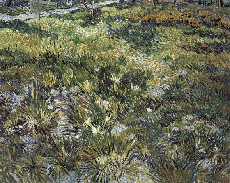 Vincent Van Gogh Long Grass with Butterflies Norge oil painting art